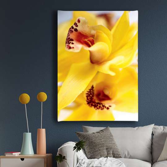 Poster - Floare galbenă, 30 x 45 см, Panza pe cadru, Flori