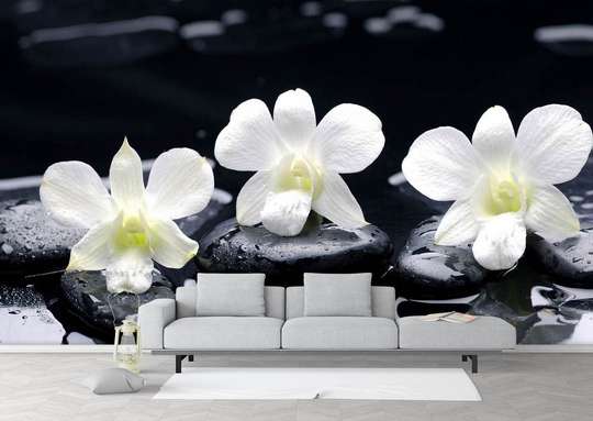 Fototapet - Pietre negre și flori albe
