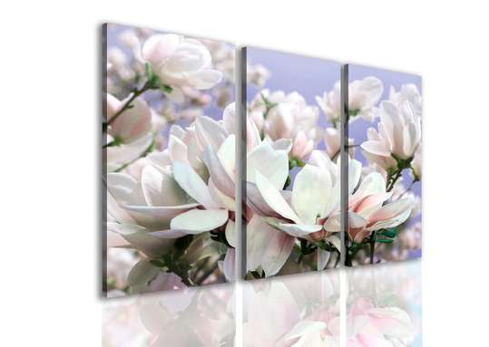 Modular picture, Delicate flower, 70 x 50