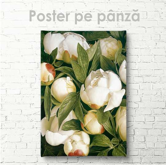 Постер - Белые пионы, 30 x 45 см, Холст на подрамнике, Цветы