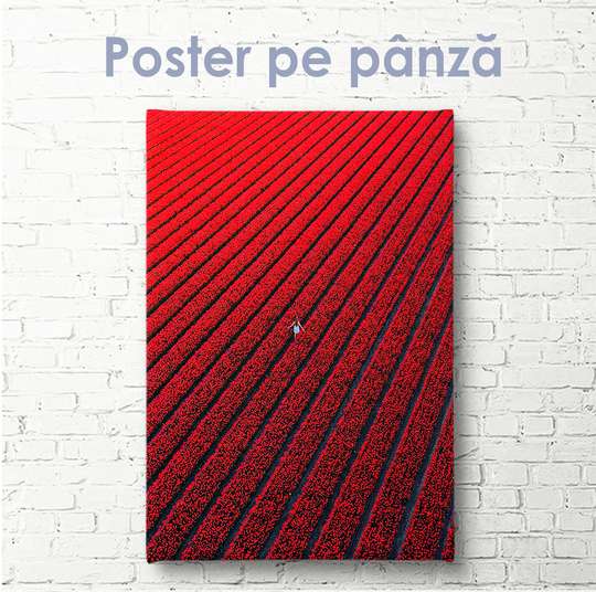 Постер - Красное поле, 30 x 45 см, Холст на подрамнике, Природа