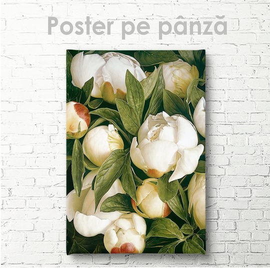 Постер, Белые пионы, 30 x 45 см, Холст на подрамнике