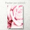 Poster - Pink rose, 60 x 90 см, Canvas on frame