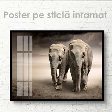 Poster, Doi elefanți, 45 x 30 см, Panza pe cadru