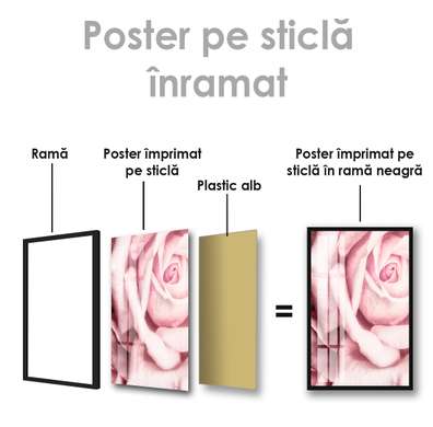 Poster - Bujorul, 40 x 40 см, 30 x 45 см, Panza pe cadru