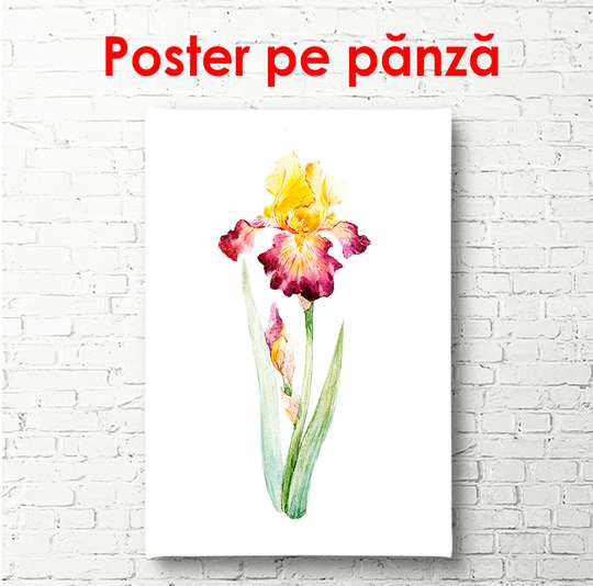 Poster - Bright iris flower in a watercolor style, 30 x 60 см, Canvas on frame, Minimalism