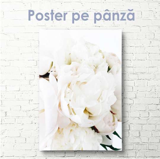 Постер - Белый пион, 30 x 60 см, Холст на подрамнике, Ботаника