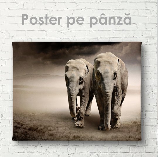 Poster, Doi elefanți, 45 x 30 см, Panza pe cadru