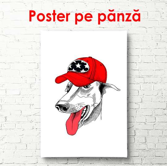 Poster - White dog with red cap, 60 x 90 см, Framed poster, Minimalism