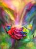 Постер - Разноцветная роза с бабочкой, 30 x 45 см, Холст на подрамнике, Цветы