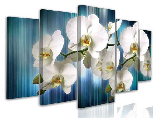 Tablou Pe Panza Multicanvas, Orhidee albă pe fundal albastru, 108 х 60