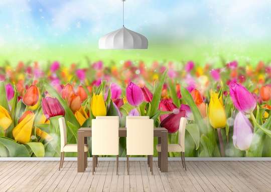 Wall Mural - Colorful tulips