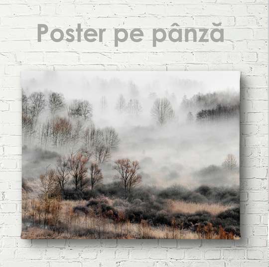 Постер - Туман, 45 x 30 см, Холст на подрамнике, Природа