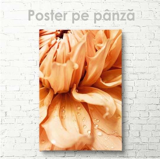 Постер - Цветок, 30 x 45 см, Холст на подрамнике, Цветы
