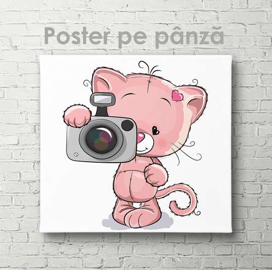 Poster - Cat with a camera, 40 x 40 см, Canvas on frame, For Kids