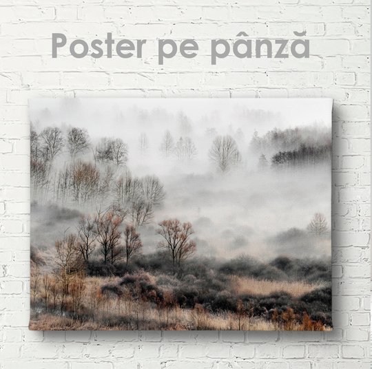Постер, Туман, 45 x 30 см, Холст на подрамнике