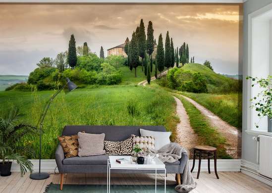 Wall Mural - Road to the house
