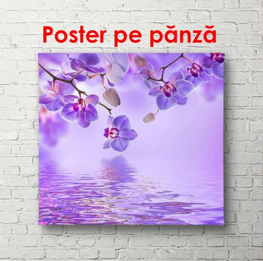 Poster - Purple orchid with butterflies on a purple background, 100 x 100 см, Framed poster, Flowers