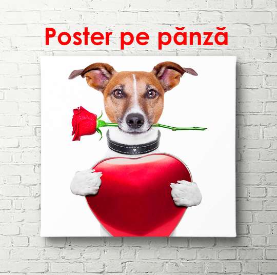 Постер - Собачка с розой и сердечком, 100 x 100 см, Постер в раме, Минимализм