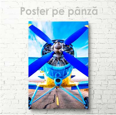 Poster - Avion de epocă, 30 x 45 см, Panza pe cadru