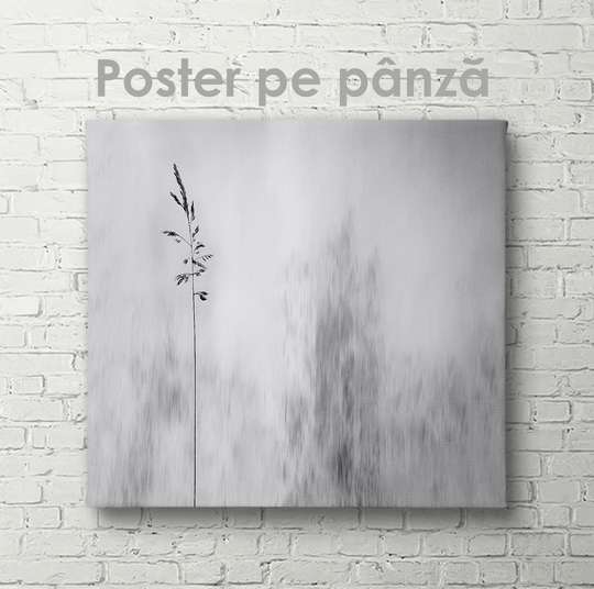 Poster - Gray nature, 40 x 40 см, Canvas on frame, Nature