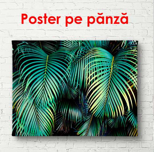 Poster - Frunze de palmier la tropice, 90 x 60 см, Poster înrămat