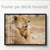 Poster, Lion cub with mom, 45 x 30 см, Canvas on frame