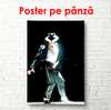Poster - Portretul lui Michael Jackson, 60 x 90 см, Poster înrămat