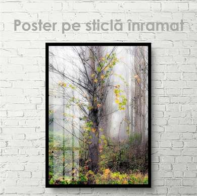 Poster - Copac de toamnă, 30 x 45 см, Panza pe cadru