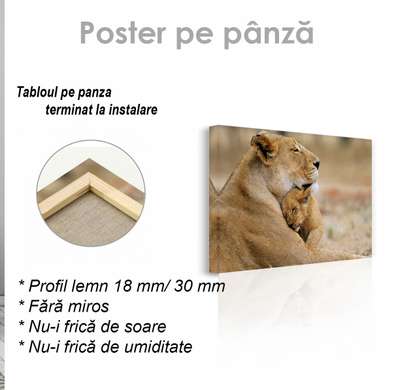 Poster, Pui de leu cu mama, 45 x 30 см, Panza pe cadru