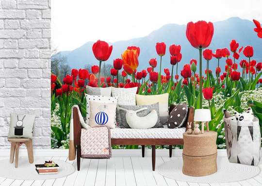 Wall Mural - Field of red tulips