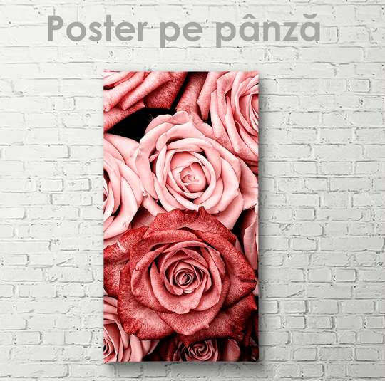 Poster, Trandafiri, 30 x 60 см, Panza pe cadru