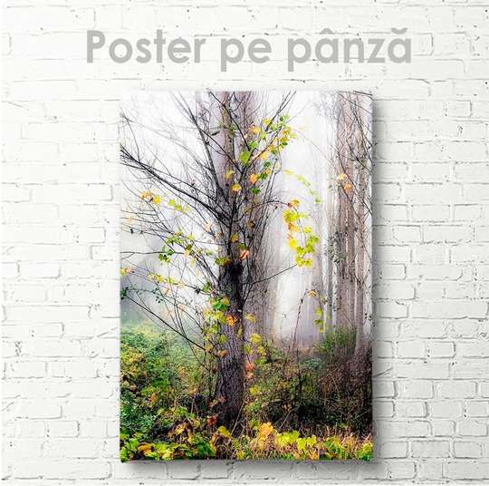 Постер - Осеннее дерево, 30 x 45 см, Холст на подрамнике, Природа