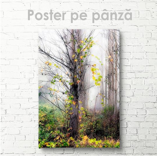 Постер, Осеннее дерево, 30 x 45 см, Холст на подрамнике